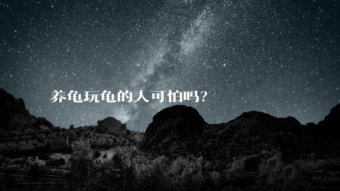 养龟玩龟的人可怕吗？