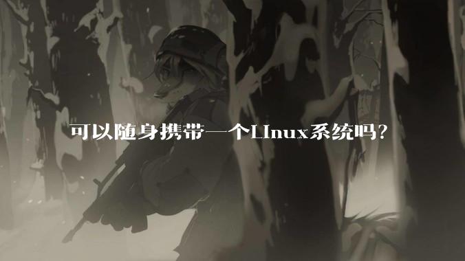 可以随身携带一个Linux系统吗？
